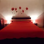 Studio Lujerului Bucuresti